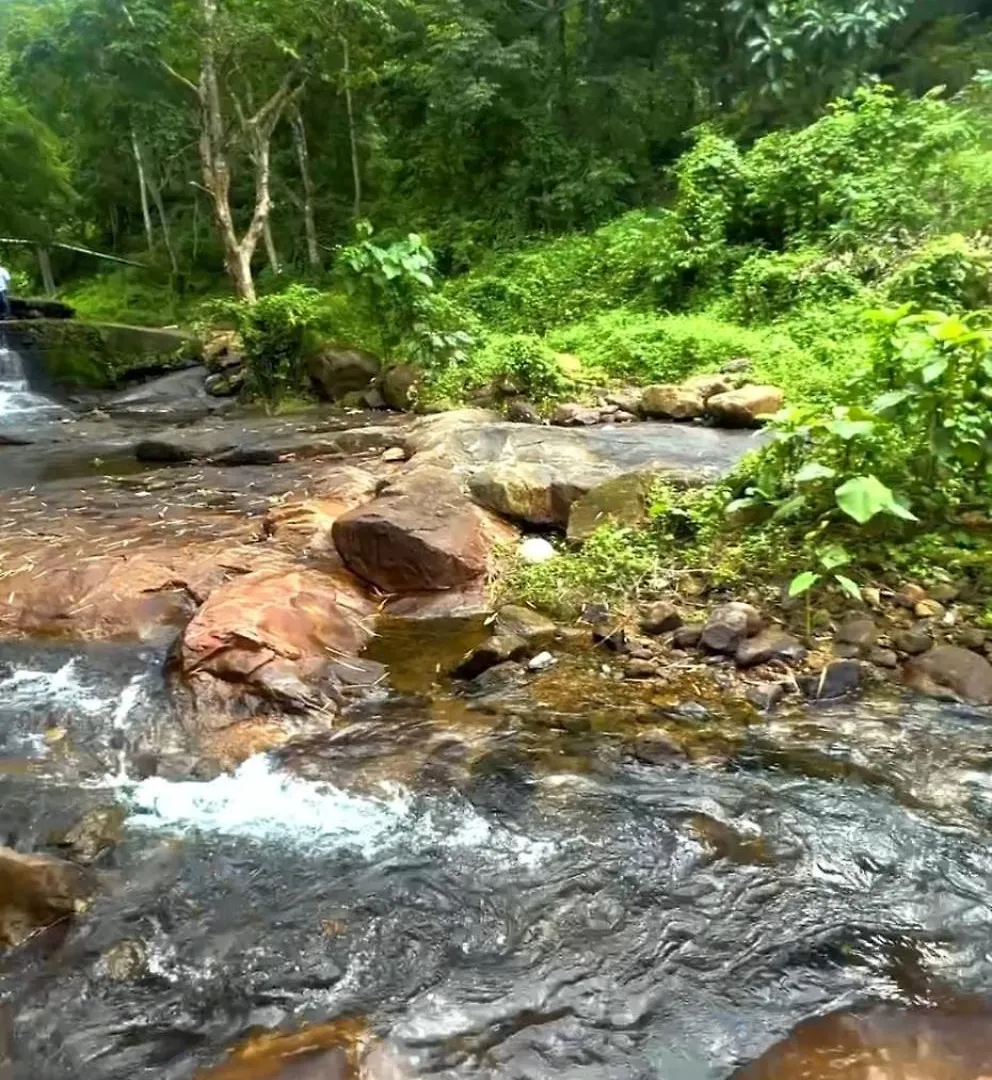 Nest Resorts Athirappilly India