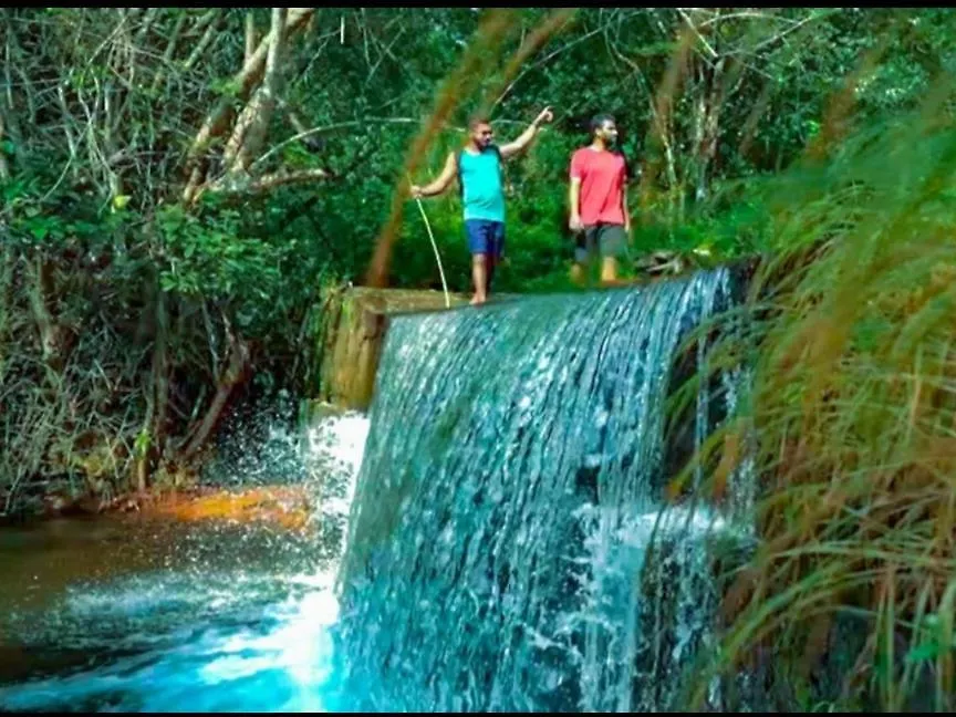 Nest Resorts Athirappilly 0*,